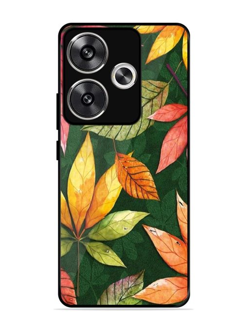 Autumn'S Embrace Glossy Soft Edge Case for Poco F6 (5G) Chachhi