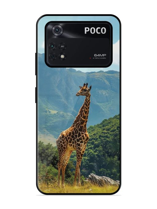 Gentle Giant Glossy Soft Edge Case for Poco M4 Pro (4G) Chachhi