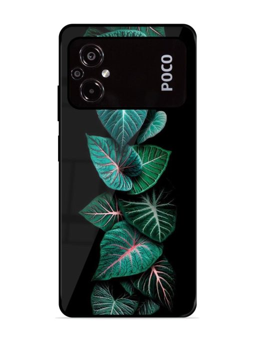 Emerald Elegance Glossy Soft Edge Case for Poco M5 Chachhi