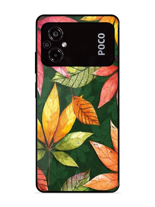 Autumn'S Embrace Glossy Soft Edge Case for Poco M5 Chachhi