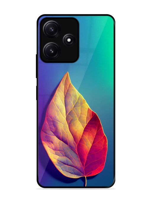 Autumn'S Embrace Glossy Soft Edge Case for Poco M6 (5G) Chachhi