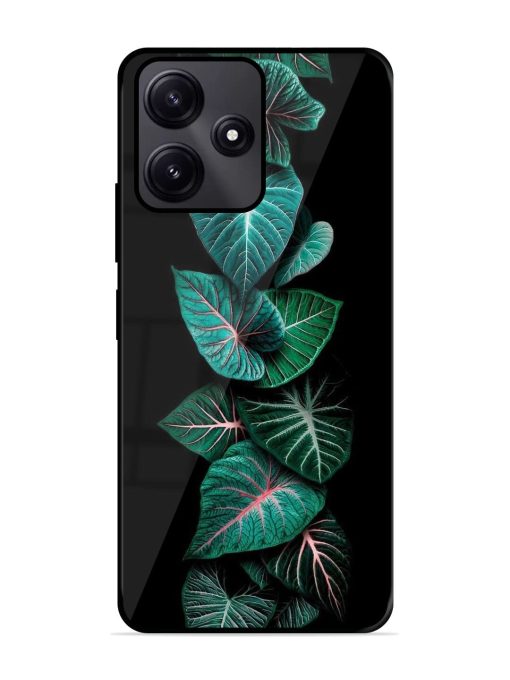 Emerald Elegance Glossy Soft Edge Case for Poco M6 Pro (5G) Chachhi