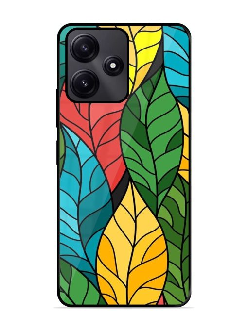 Foliage Fiesta Glossy Soft Edge Case for Poco M6 Pro (5G) Chachhi