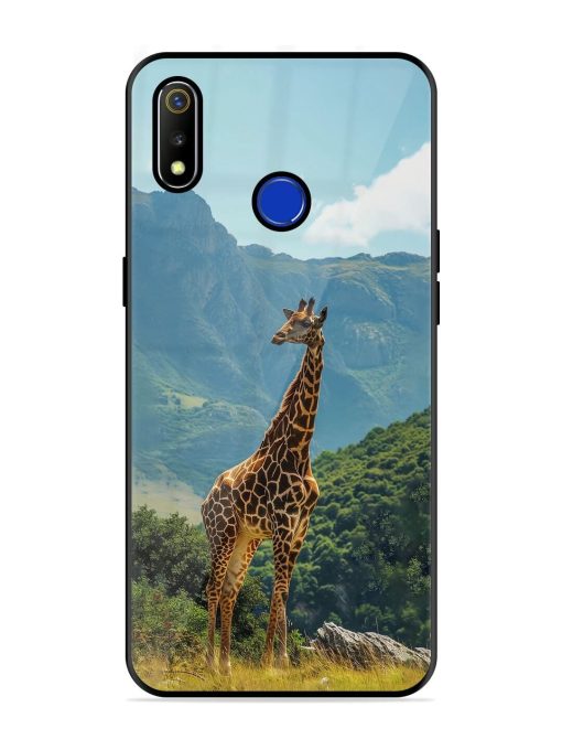 Gentle Giant Glossy Soft Edge Case for Realme 3 Chachhi