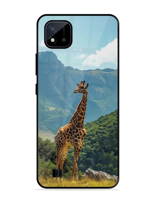 Gentle Giant Glossy Soft Edge Case for Realme C20 Chachhi