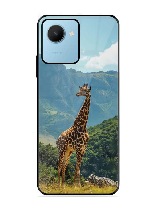 Gentle Giant Glossy Soft Edge Case for Realme C30S Chachhi