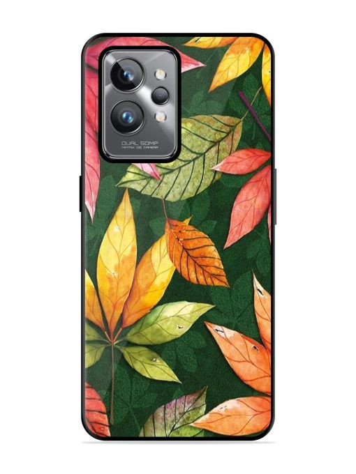 Autumn'S Embrace Glossy Soft Edge Case for Realme Gt 2 Pro Chachhi