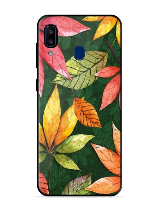 Autumn'S Embrace Glossy Soft Edge Case for Samsung Galaxy A20 Chachhi