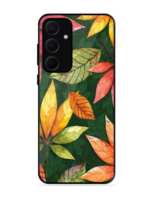 Autumn'S Embrace Glossy Soft Edge Case for Samsung Galaxy A35 (5G) Chachhi