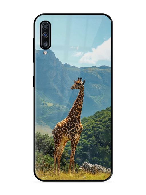 Gentle Giant Glossy Soft Edge Case for Samsung Galaxy A70 Chachhi