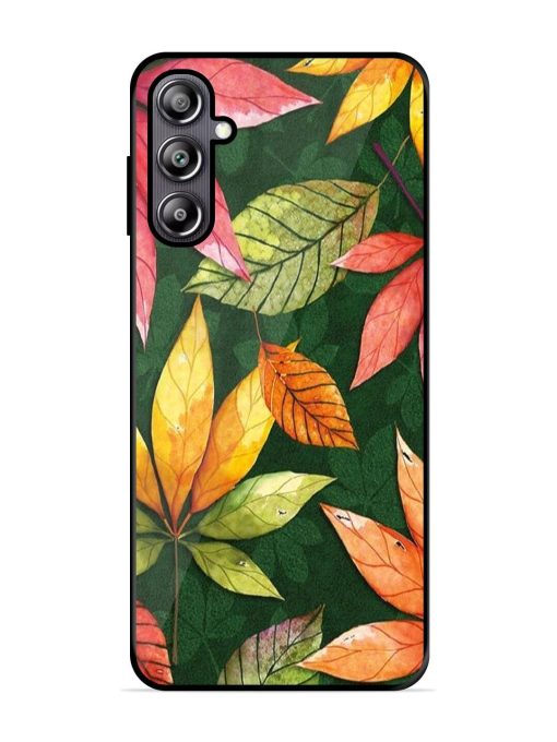 Autumn'S Embrace Glossy Soft Edge Case for Samsung Galaxy F54 (5G) Chachhi