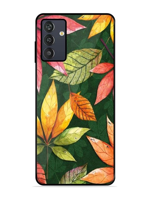 Autumn'S Embrace Glossy Soft Edge Case for Samsung Galaxy M13 (4G) Chachhi