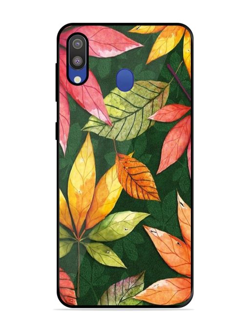 Autumn'S Embrace Glossy Soft Edge Case for Samsung Galaxy M20 Chachhi