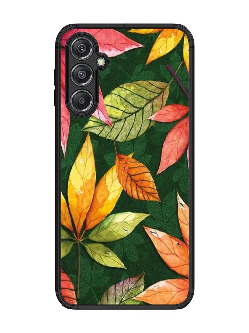 Autumn'S Embrace Glossy Soft Edge Case for Samsung Galaxy M34 (5G) Chachhi