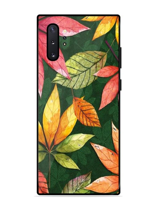 Autumn'S Embrace Glossy Soft Edge Case for Samsung Galaxy Note 10 Plus Chachhi