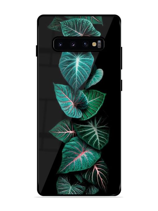 Emerald Elegance Glossy Soft Edge Case for Samsung Galaxy S10 Plus Chachhi