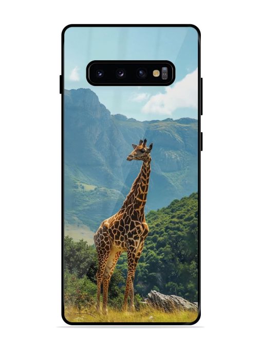 Gentle Giant Glossy Soft Edge Case for Samsung Galaxy S10 Plus Chachhi