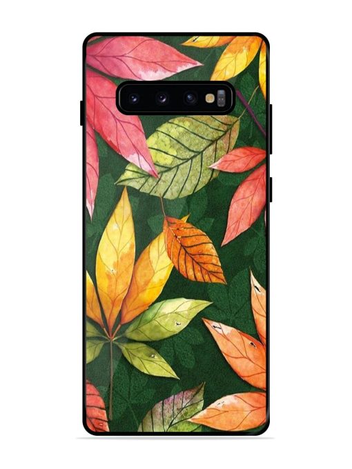 Autumn'S Embrace Glossy Soft Edge Case for Samsung Galaxy S10 Plus Chachhi