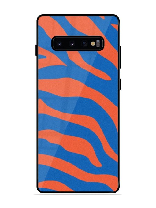 Zebra Stripes In Blue And Orange Glossy Soft Edge Case for Samsung Galaxy S10 Plus Chachhi