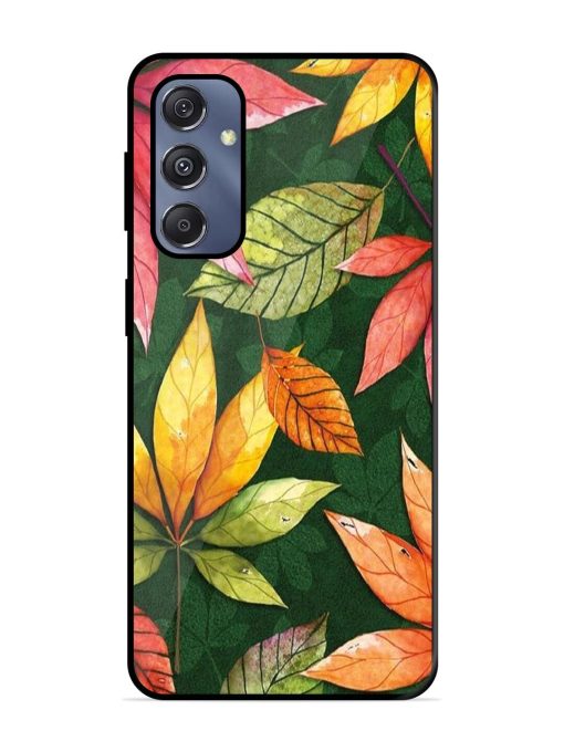 Autumn'S Embrace Glossy Soft Edge Case for Samsung Galaxy S23 Fe (5G) Chachhi