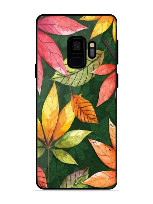 Autumn'S Embrace Glossy Soft Edge Case for Samsung Galaxy S9 Chachhi