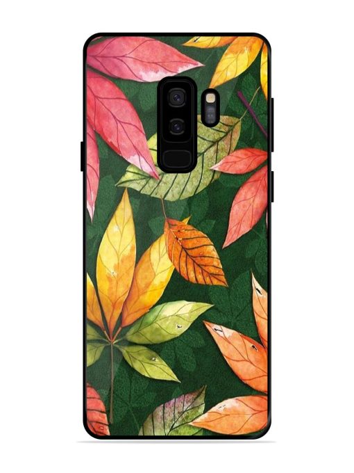 Autumn'S Embrace Glossy Soft Edge Case for Samsung Galaxy S9 Plus Chachhi