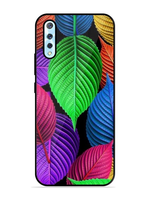 Rainbow Leaf Symphony Glossy Soft Edge Case for Vivo S1 Chachhi