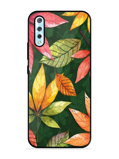 Autumn'S Embrace Glossy Soft Edge Case for Vivo S1 Chachhi