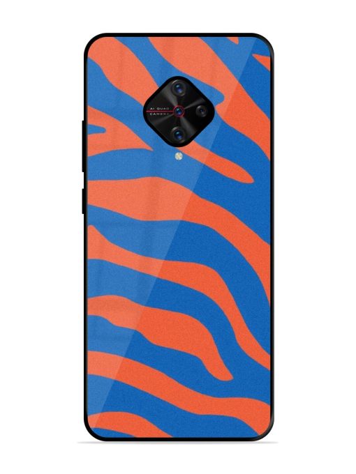 Zebra Stripes In Blue And Orange Glossy Soft Edge Case for Vivo S1 Pro Chachhi