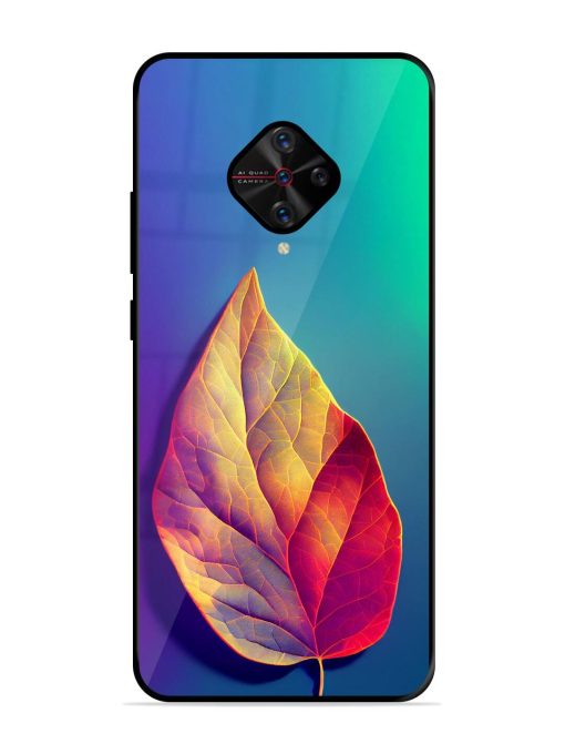 Autumn'S Embrace Glossy Soft Edge Case for Vivo S1 Pro Chachhi