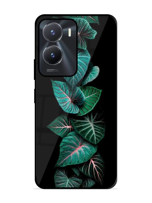 Emerald Elegance Glossy Soft Edge Case for Vivo T2X (5G) Chachhi