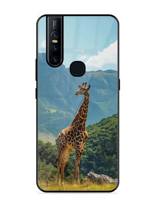 Gentle Giant Glossy Soft Edge Case for Vivo V15 Chachhi