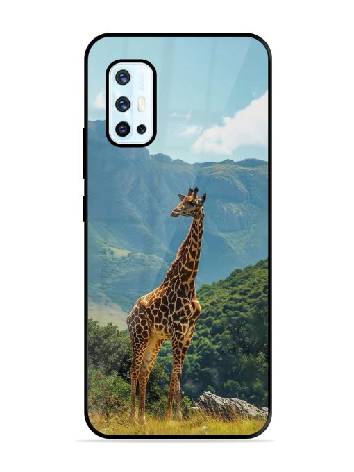 Gentle Giant Glossy Soft Edge Case for Vivo V17 Chachhi