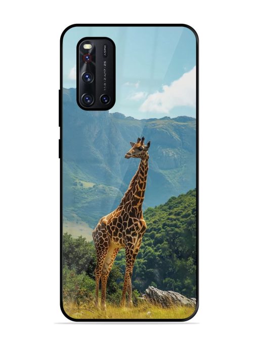 Gentle Giant Glossy Soft Edge Case for Vivo V19 Chachhi