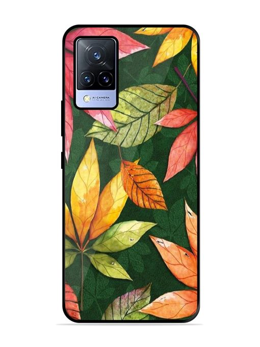 Autumn'S Embrace Glossy Soft Edge Case for Vivo V21 (5G) Chachhi