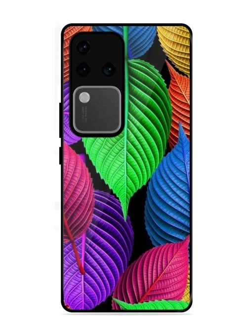 Rainbow Leaf Symphony Glossy Soft Edge Case for Vivo V30 Pro (5G) Chachhi