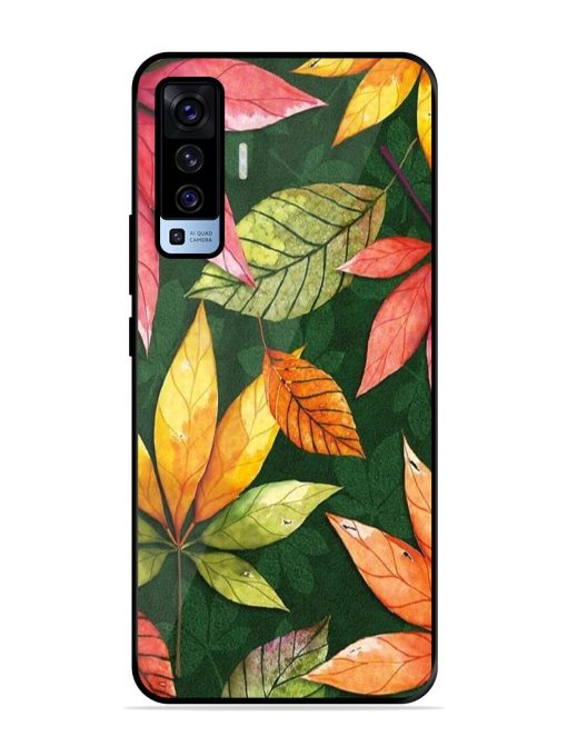 Autumn'S Embrace Glossy Soft Edge Case for Vivo X50 Chachhi