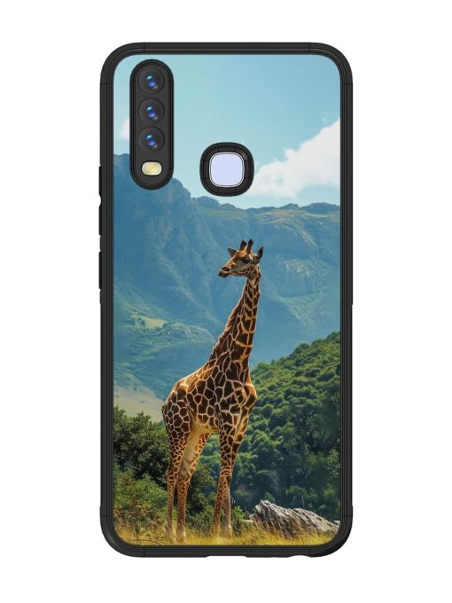 Gentle Giant Glossy Soft Edge Case for Vivo Y12