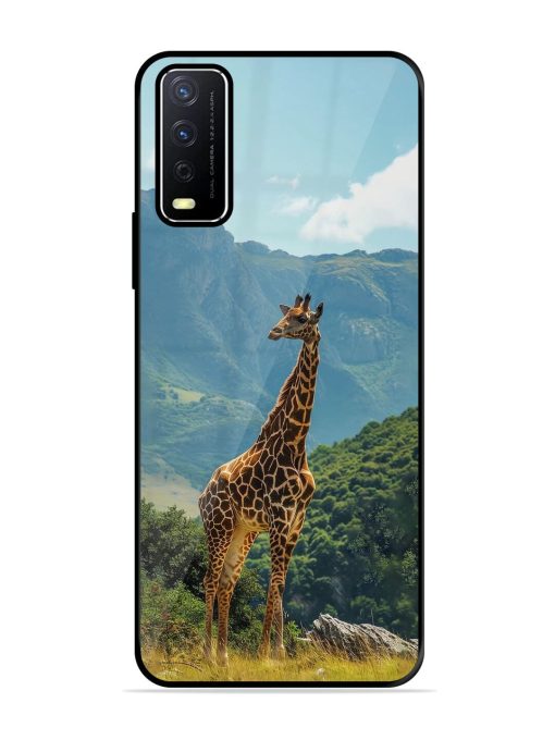 Gentle Giant Glossy Soft Edge Case for Vivo Y12S Chachhi