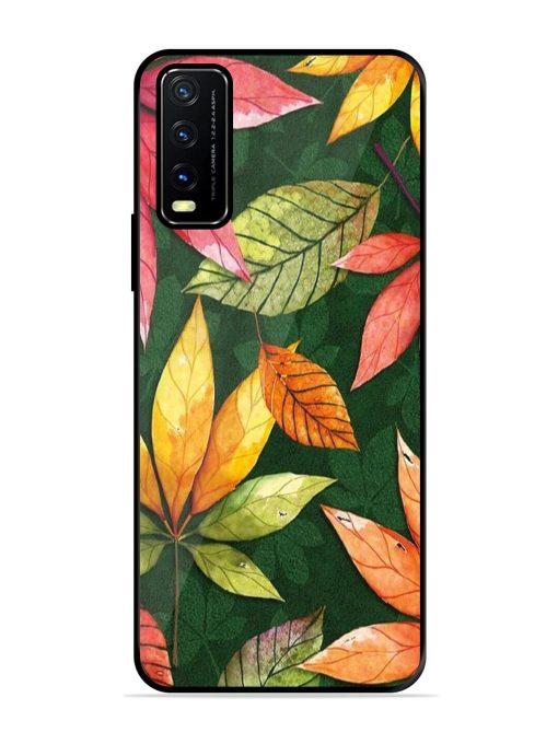 Autumn'S Embrace Glossy Soft Edge Case for Vivo Y20T Chachhi