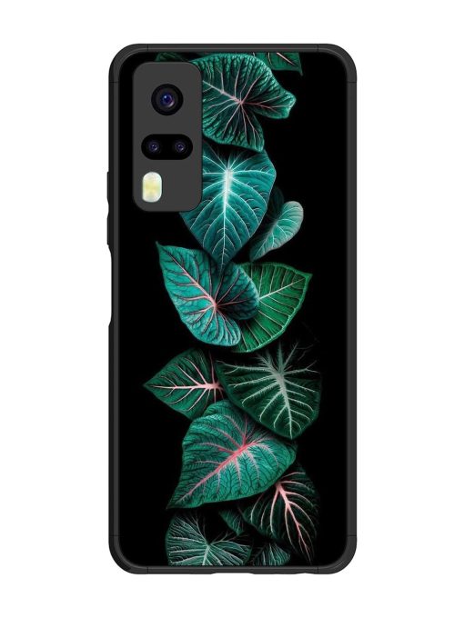 Emerald Elegance Glossy Soft Edge Case for Vivo Y31 Chachhi