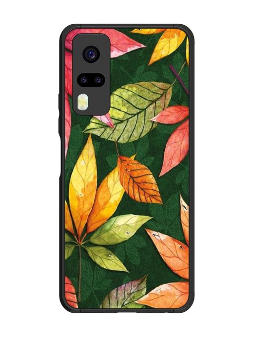 Autumn'S Embrace Glossy Soft Edge Case for Vivo Y31 Chachhi