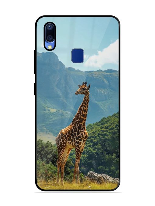 Gentle Giant Glossy Soft Edge Case for Vivo Y95 Chachhi