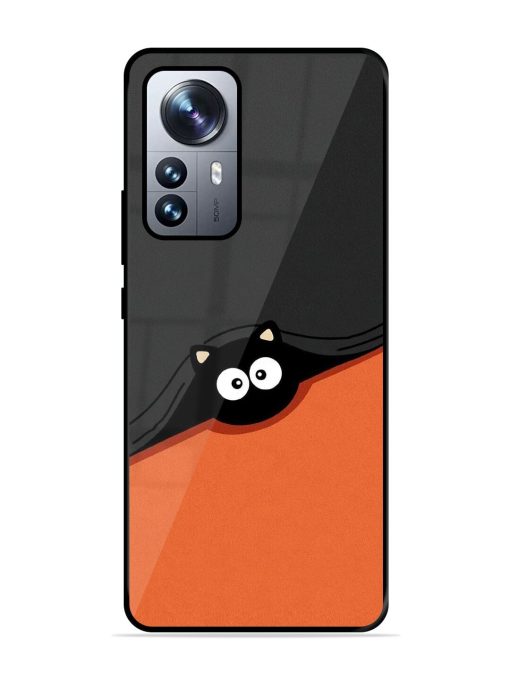 Peek-A-Boo Kitty Glossy Soft Edge Case for Xiaomi Mi 12 Pro (5G) Chachhi