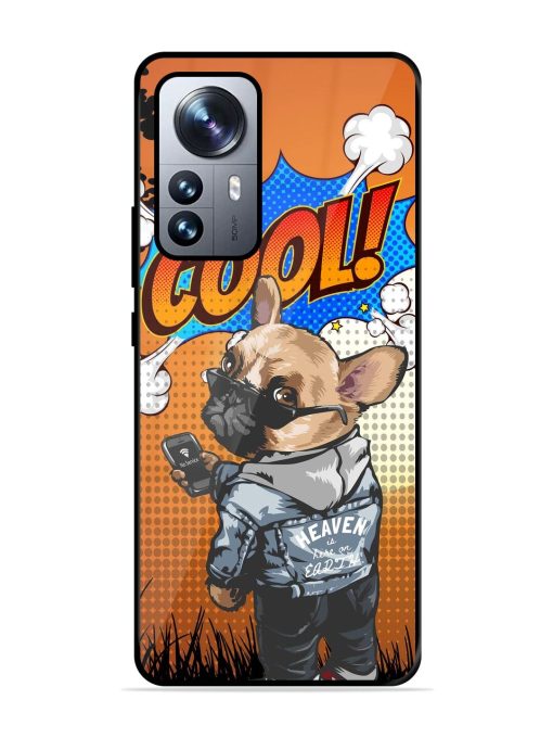 Cool Pup Glossy Soft Edge Case for Xiaomi Mi 12 Pro (5G) Chachhi