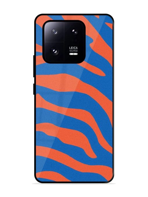 Zebra Stripes In Blue And Orange Glossy Soft Edge Case for Xiaomi Mi 13 Pro (5G) Chachhi