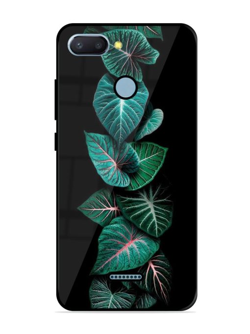 Emerald Elegance Glossy Soft Edge Case for Xiaomi Redmi 6 Chachhi