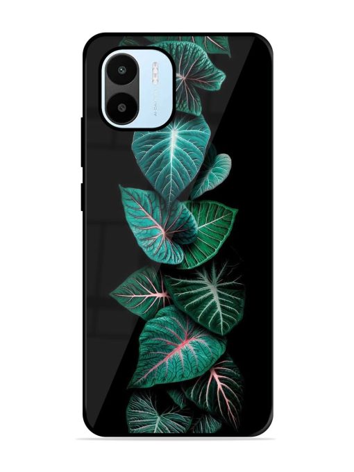 Emerald Elegance Glossy Soft Edge Case for Xiaomi Redmi A1 (2022) Chachhi