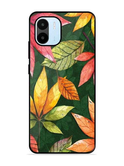 Autumn'S Embrace Glossy Soft Edge Case for Xiaomi Redmi A1 (2022) Chachhi