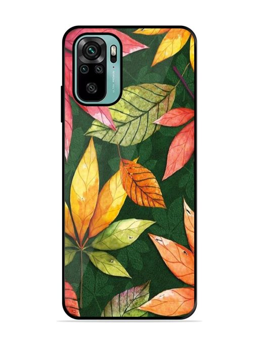 Autumn'S Embrace Glossy Soft Edge Case for Xiaomi Redmi Note 10S Chachhi